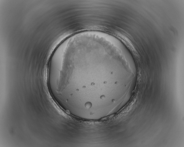 X0000115090804200911101522