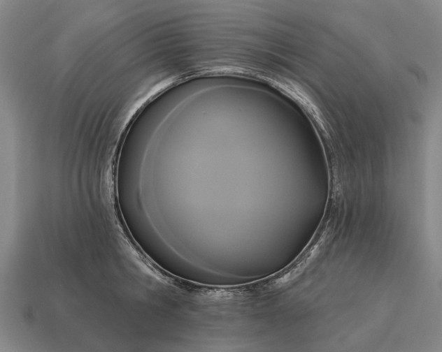 X0000115090806200911101522