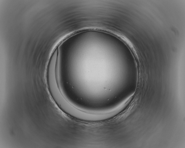 X0000115090807200911101522