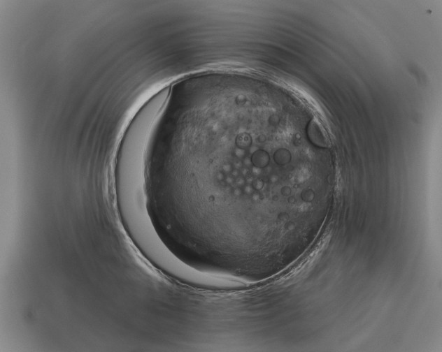 X0000115090808200911101522
