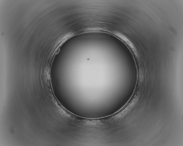 X0000115090809200911101522