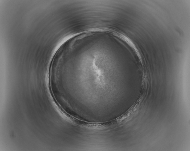 X0000115090811200911101522