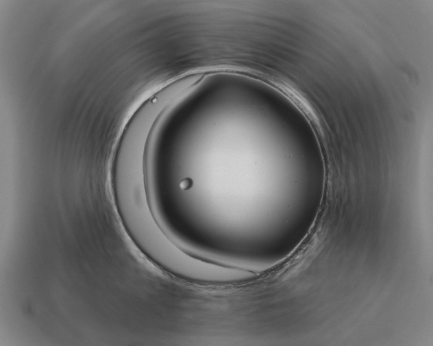 X0000115090813200911101522