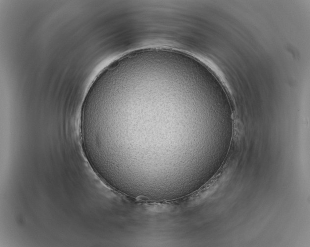 X0000115090815200911101522