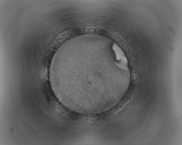 X0000115090820200911101522