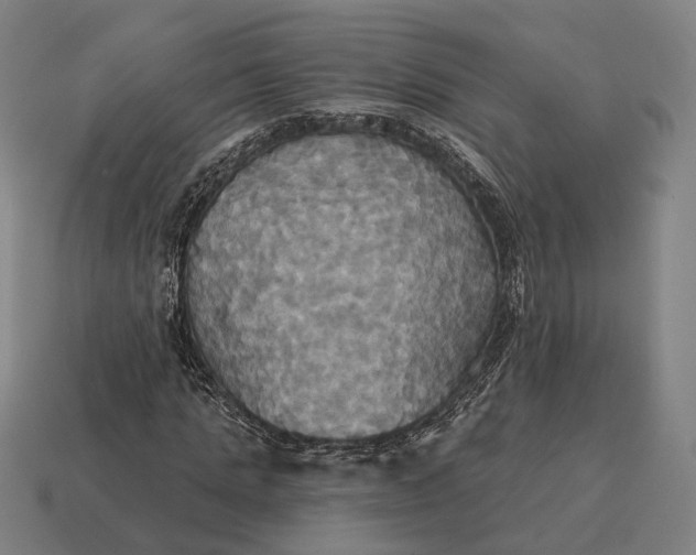 X0000115090821200911101522