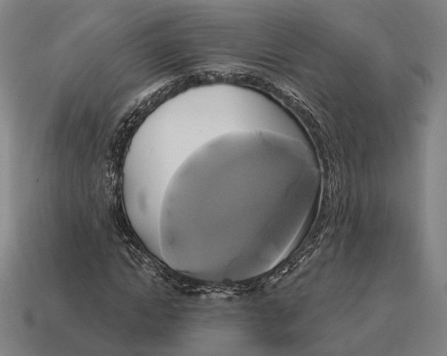 X0000115090822200911101522