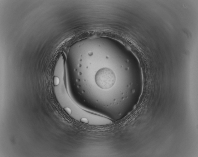X0000115090824200911101522