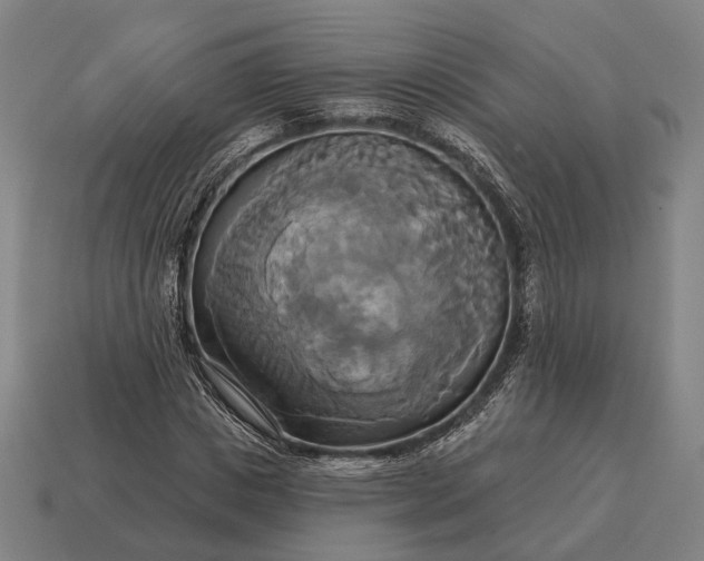 X0000115090825200911101522