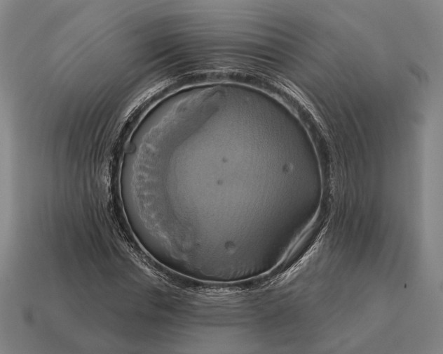 X0000115090826200911101522