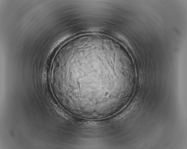 X0000115090827200911101522