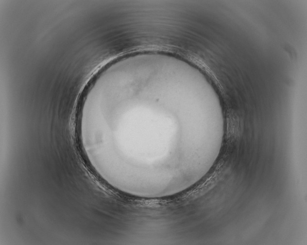 X0000115090828200911101522