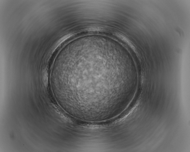 X0000115090829200911101522