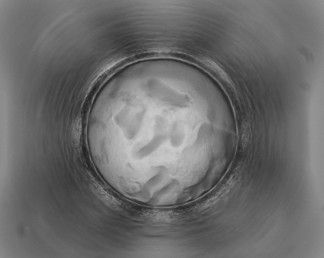 X0000115090831200911101522