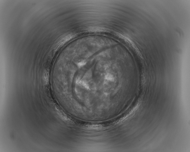 X0000115090833200911101522
