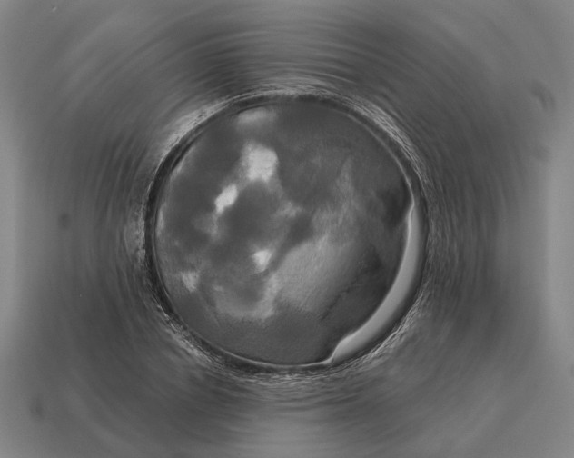 X0000115090834200911101522
