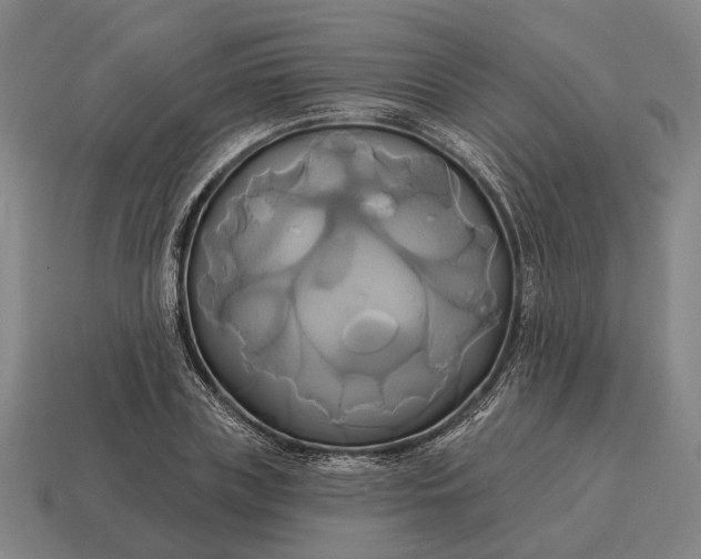 X0000115090835200911101522