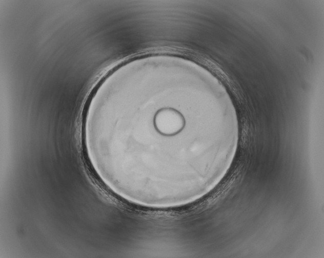 X0000115090836200911101522