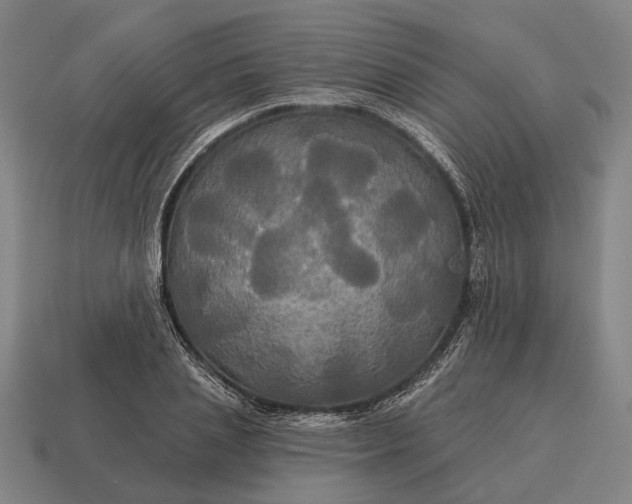 X0000115090837200911101522