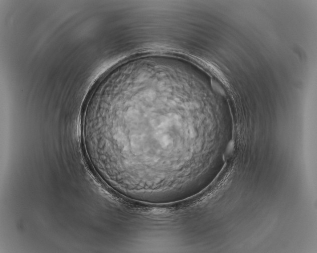 X0000115090839200911101522