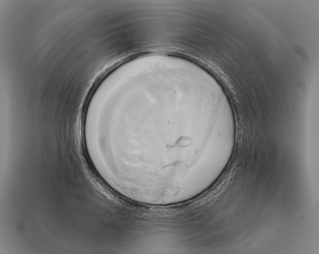 X0000115090840200911101522