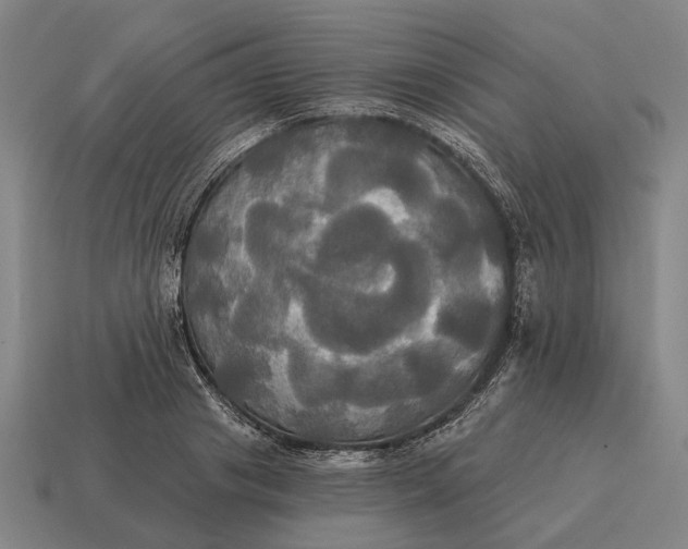 X0000115090841200911101522