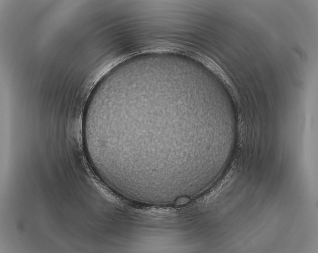X0000115090842200911101522