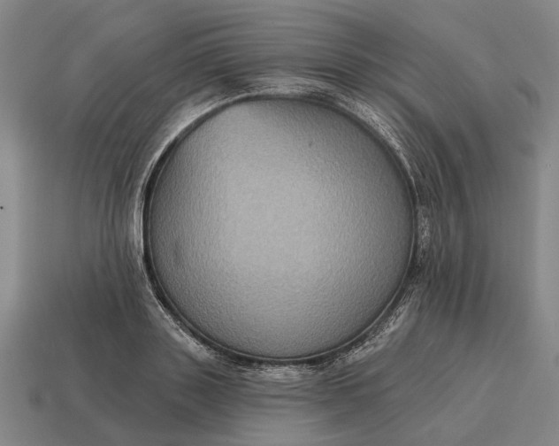 X0000115090843200911101522