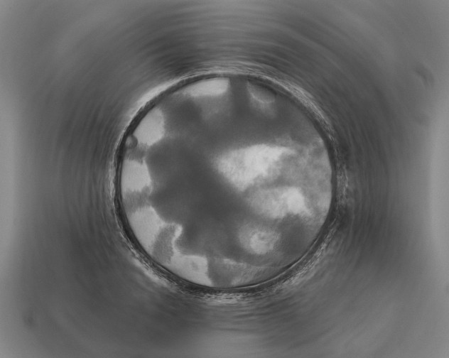 X0000115090846200911101522