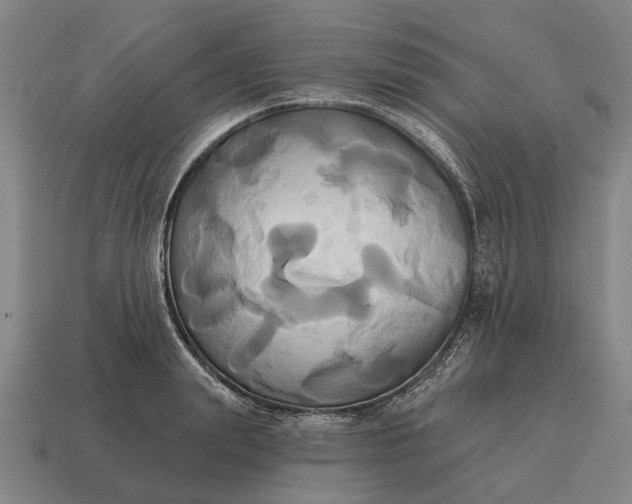 X0000115090847200911101522