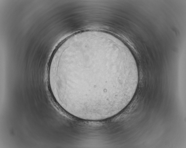 X0000115090848200911101522