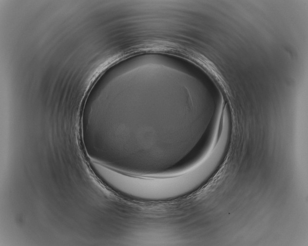 X0000115090850200911101522