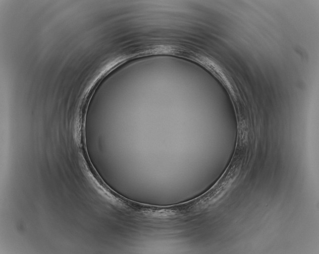 X0000115090851200911101522
