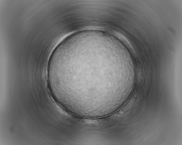 X0000115090852200911101522