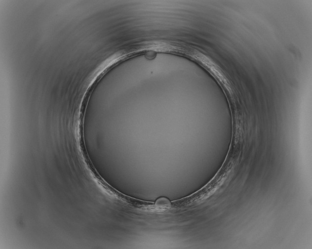 X0000115090853200911101522