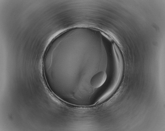 X0000115090854200911101522