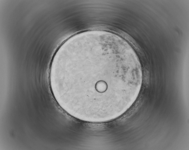 X0000115090856200911101522