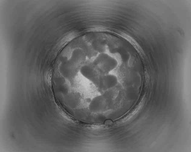 X0000115090857200911101522
