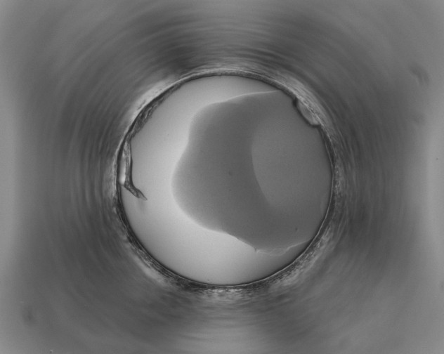 X0000115090858200911101522