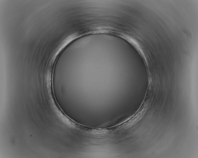 X0000115090859200911101522