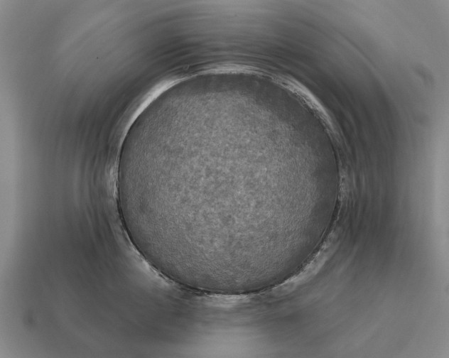X0000115090860200911101522