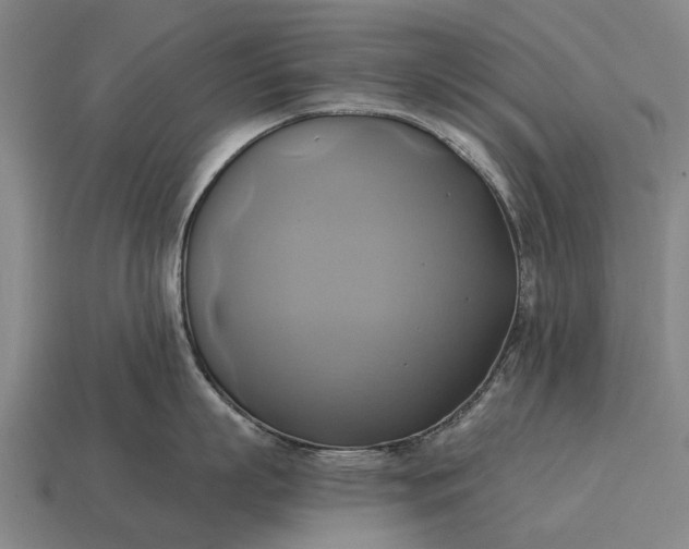 X0000115090863200911101522