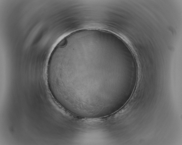 X0000115090864200911101522