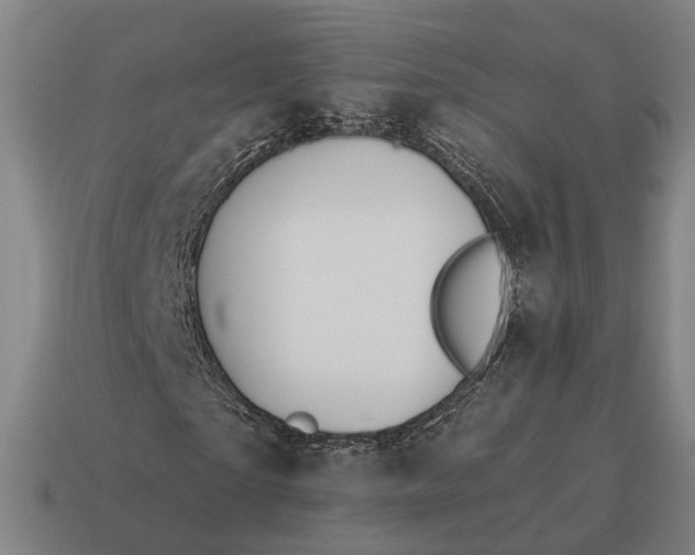 X0000115090865200911101522
