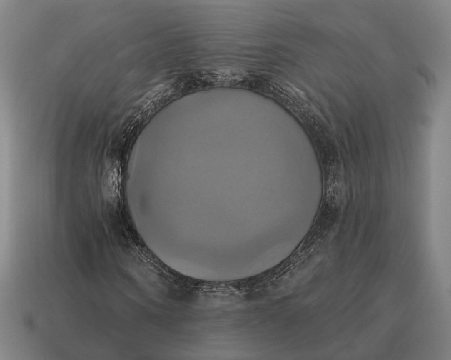 X0000115090866200911101522
