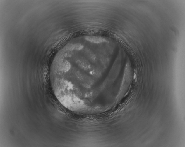 X0000115090867200911101522