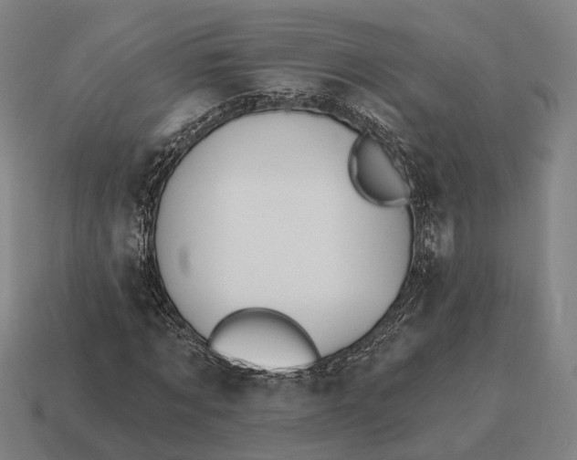 X0000115090869200911101522