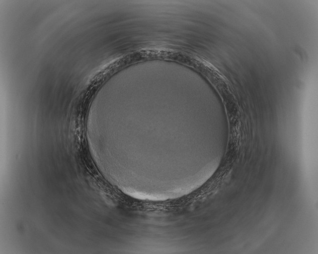 X0000115090870200911101522
