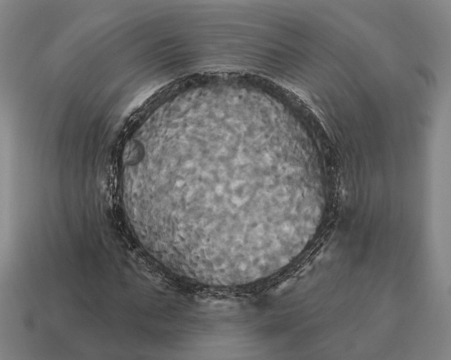X0000115090871200911101522