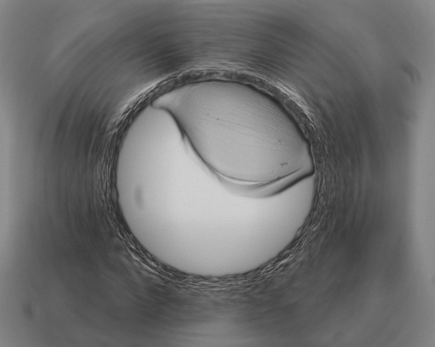 X0000115090872200911101522